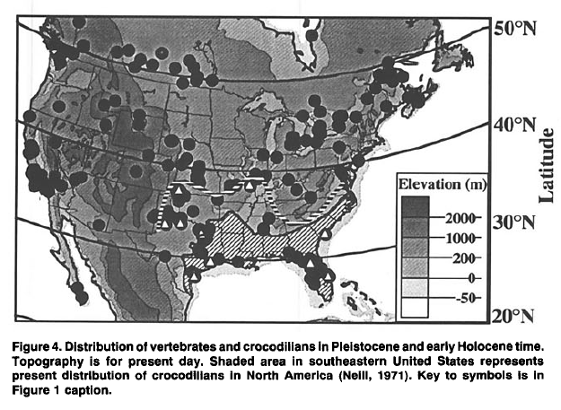 Crocodilian 
	Distribution (Modern)